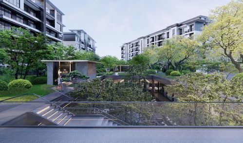 四川資本入局洛陽樓市，“領投雁”能否引領新格局？